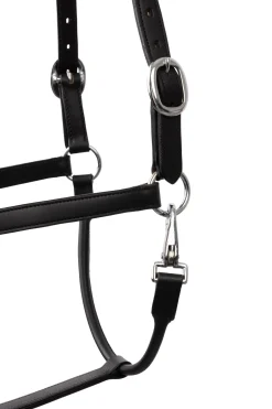 Horze grime med krystaller