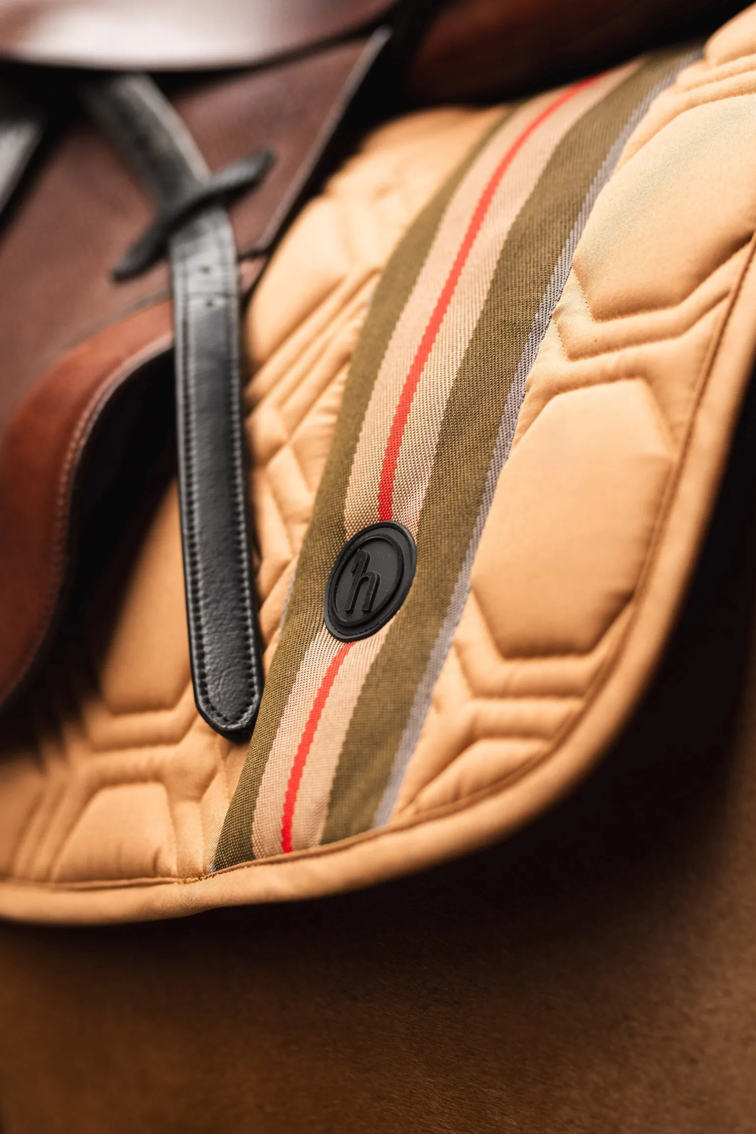 Horze High Life sprangsjabrak