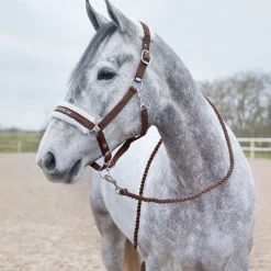 Horze Howard mykt leietau