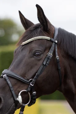 Horze Nature made leisure pannebånd
