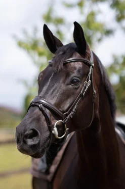 Horze Nature made leisure hodelag