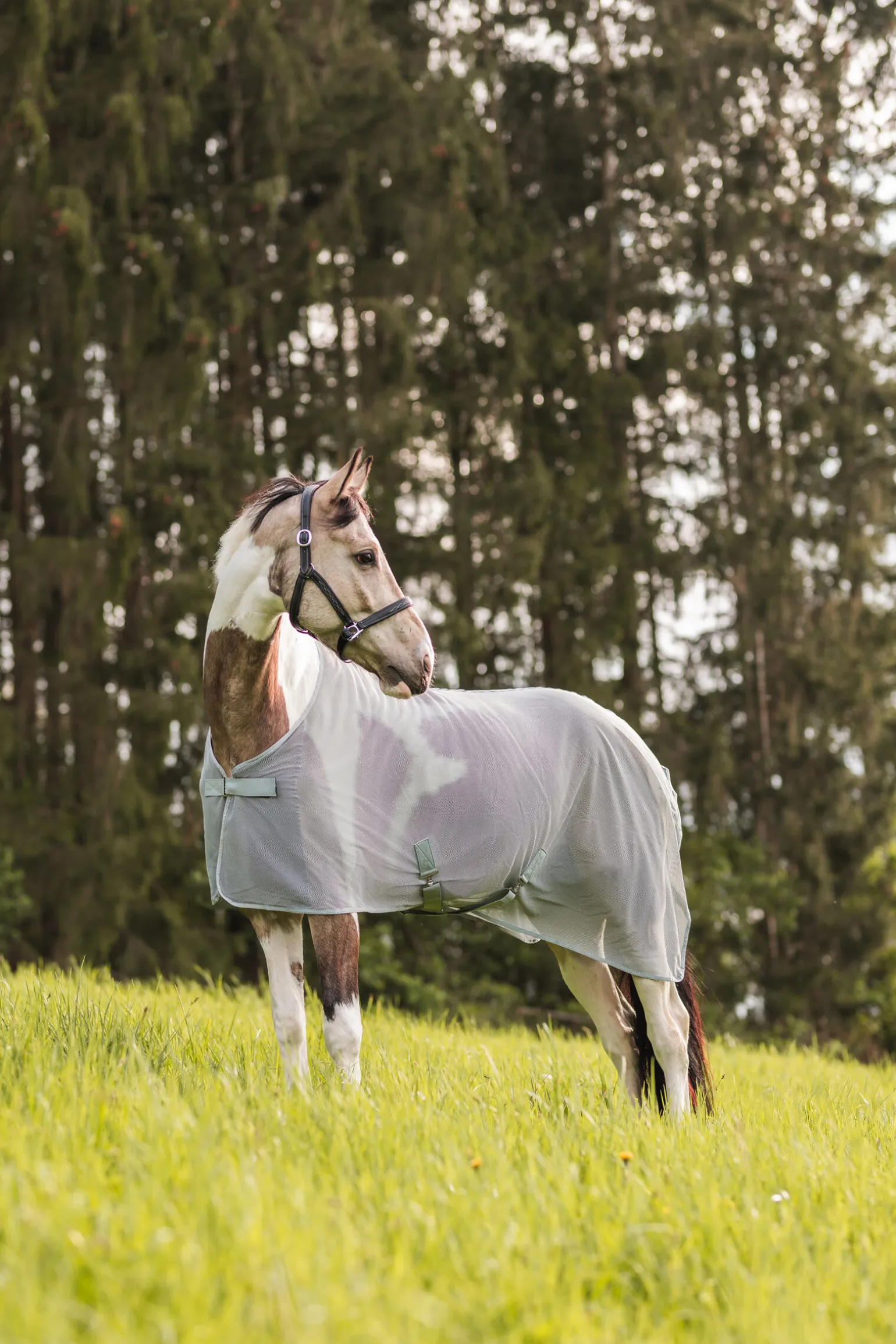 Horze Orleans fluedekken