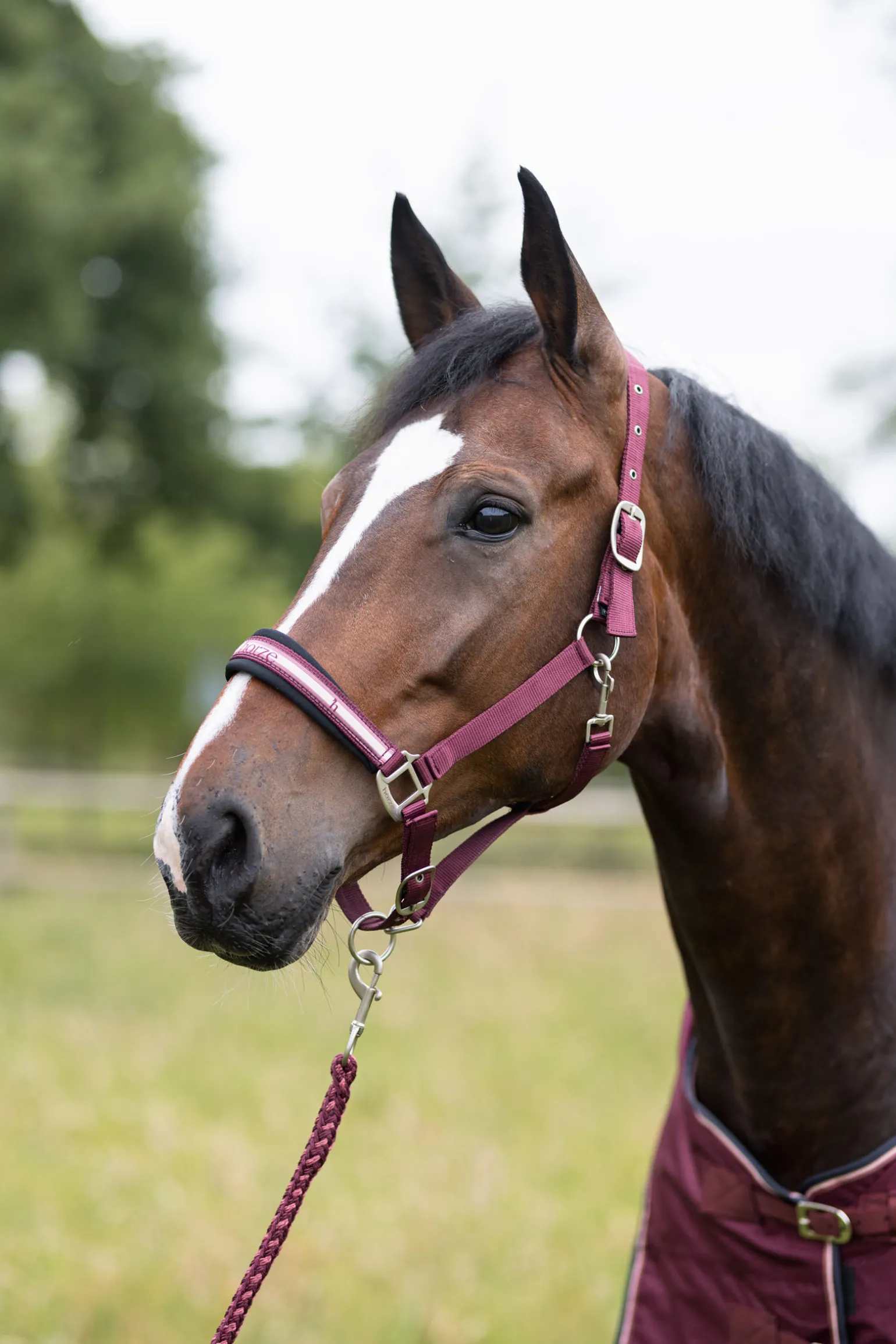 Horze Physical Sophistication grime, sett