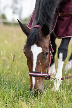 Horze Physical Sophistication grime, sett