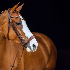 Horze Positano Hannover anatomisk hodelag