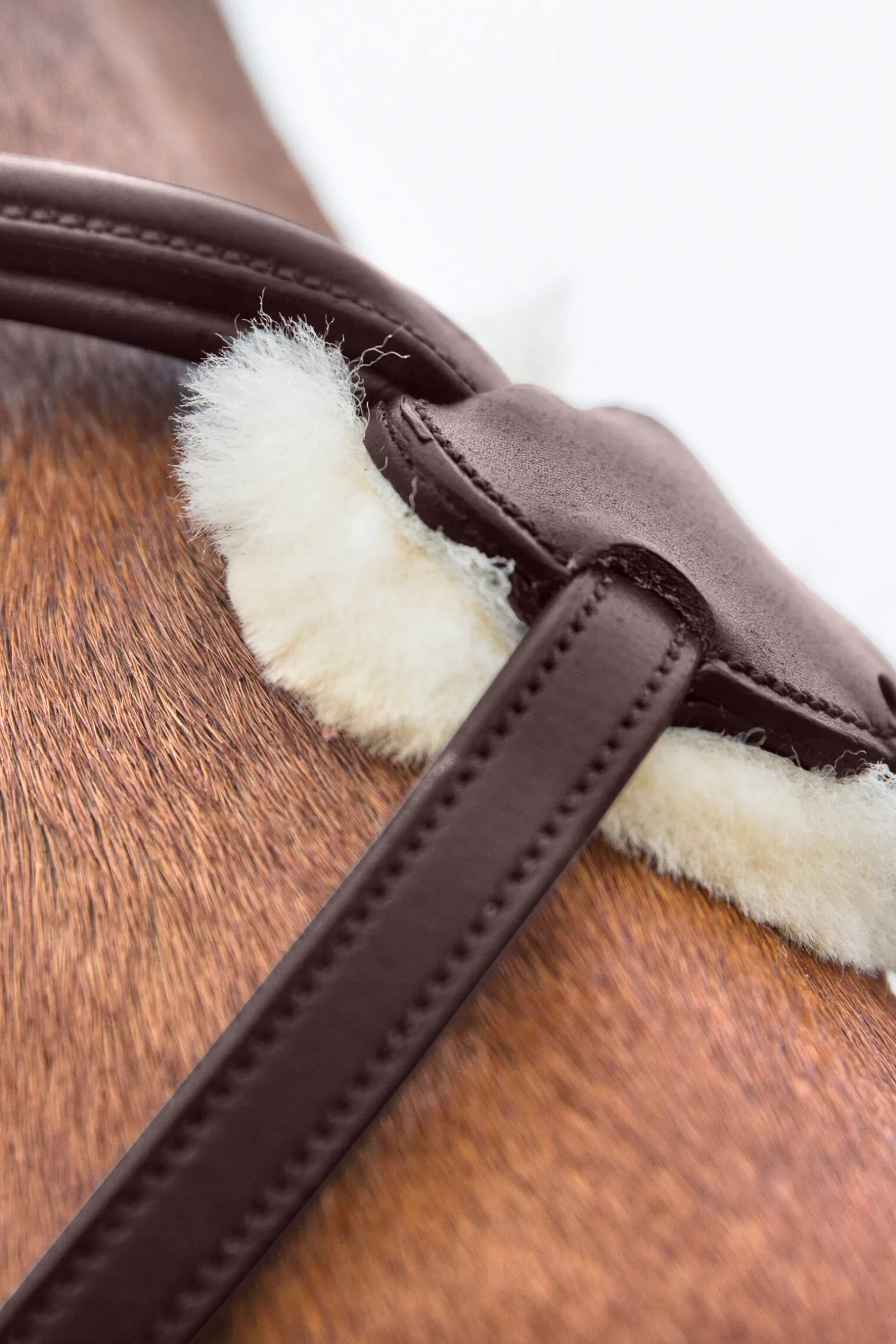 Horze Prescott hodelag med kryssnesereim