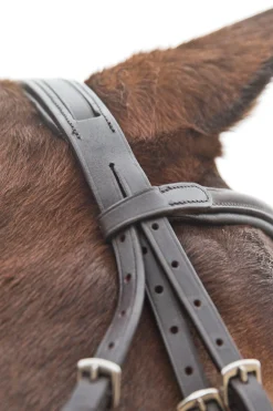 Horze Prescott hodelag med kryssnesereim