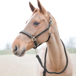 Horze Price-Z leietau