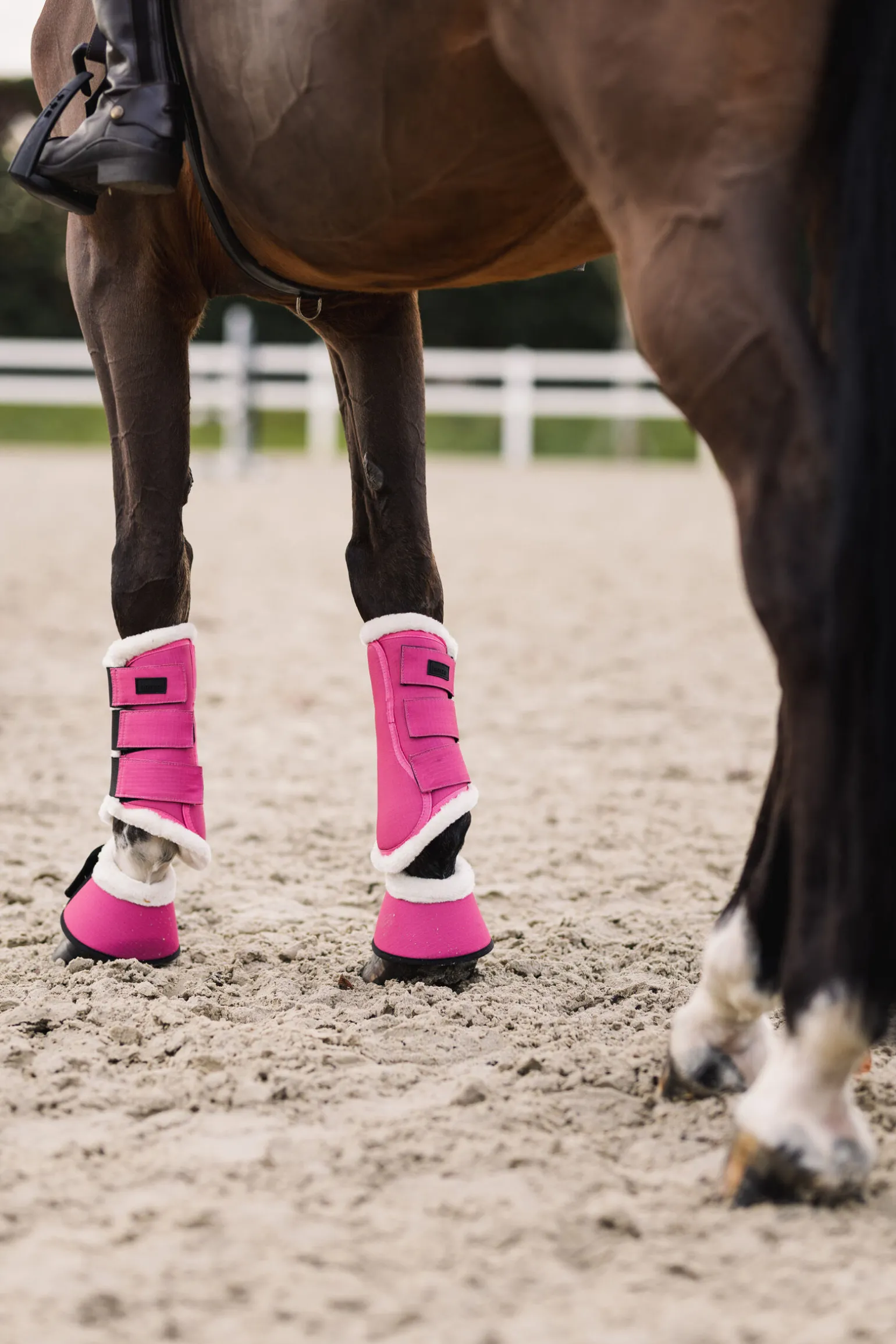 Horze Rose Tonique stryksokker