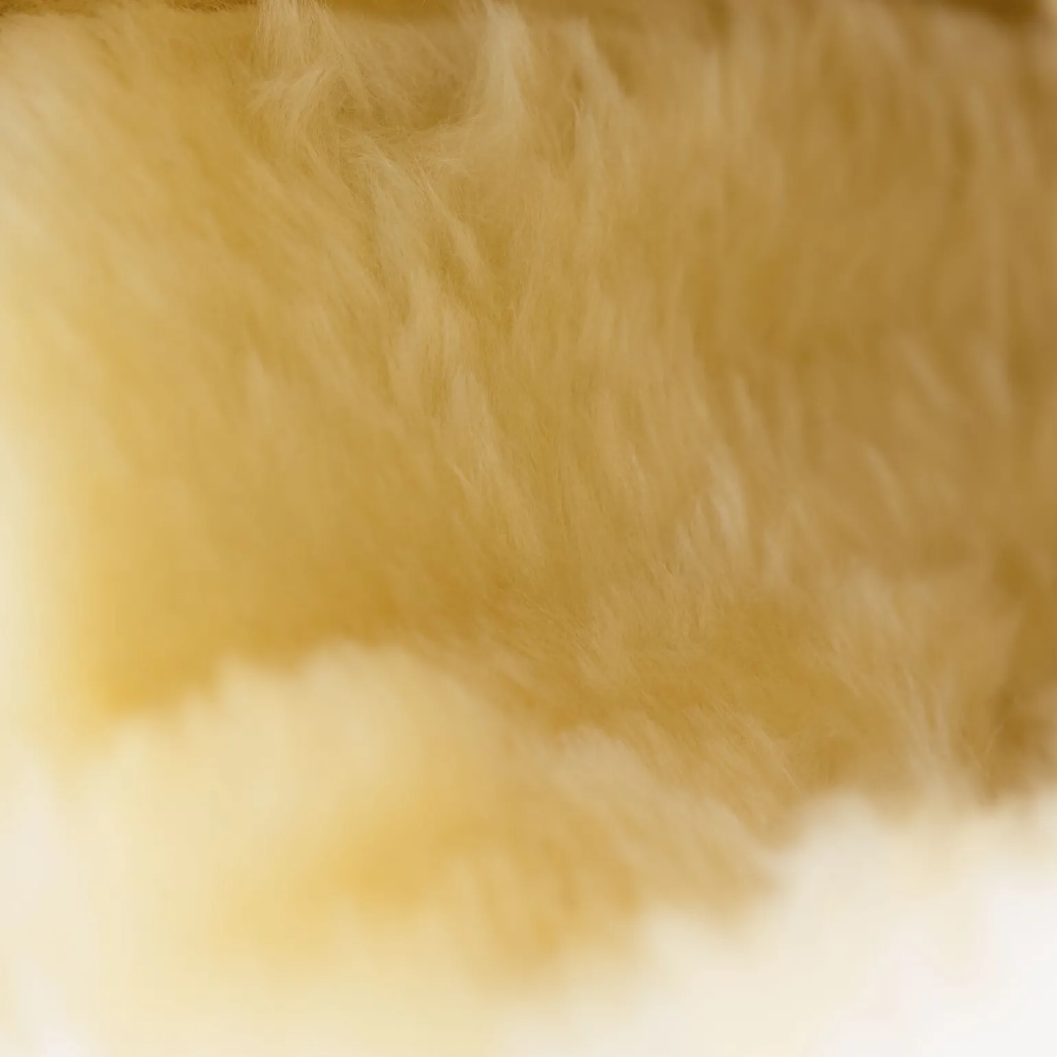 Horze Signature stryksokker