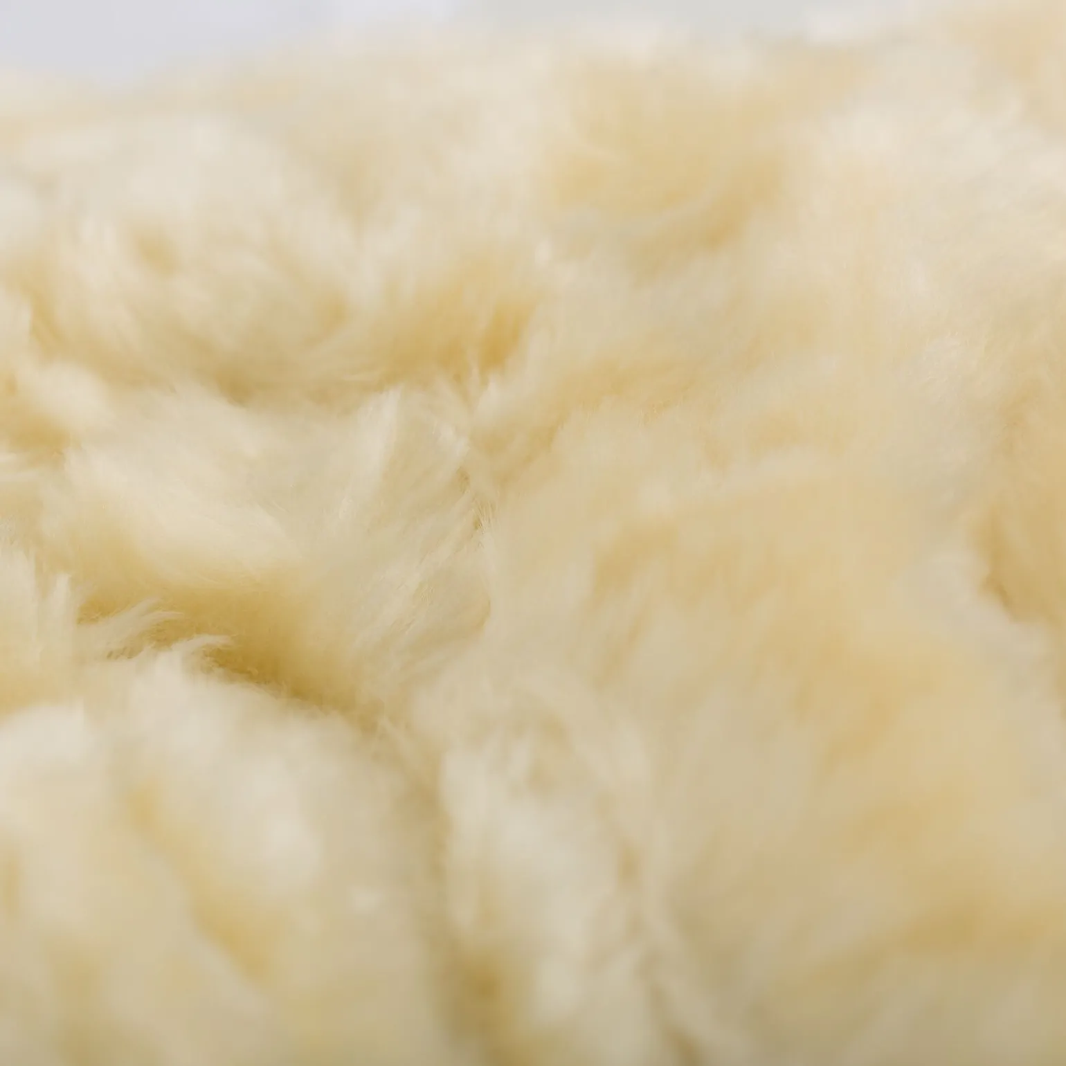 Horze Signature stryksokker