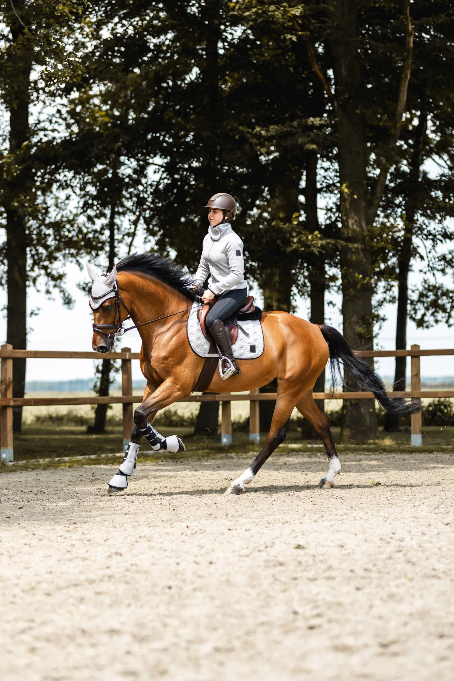 Horze Smoky Twilight sprangsjabrak