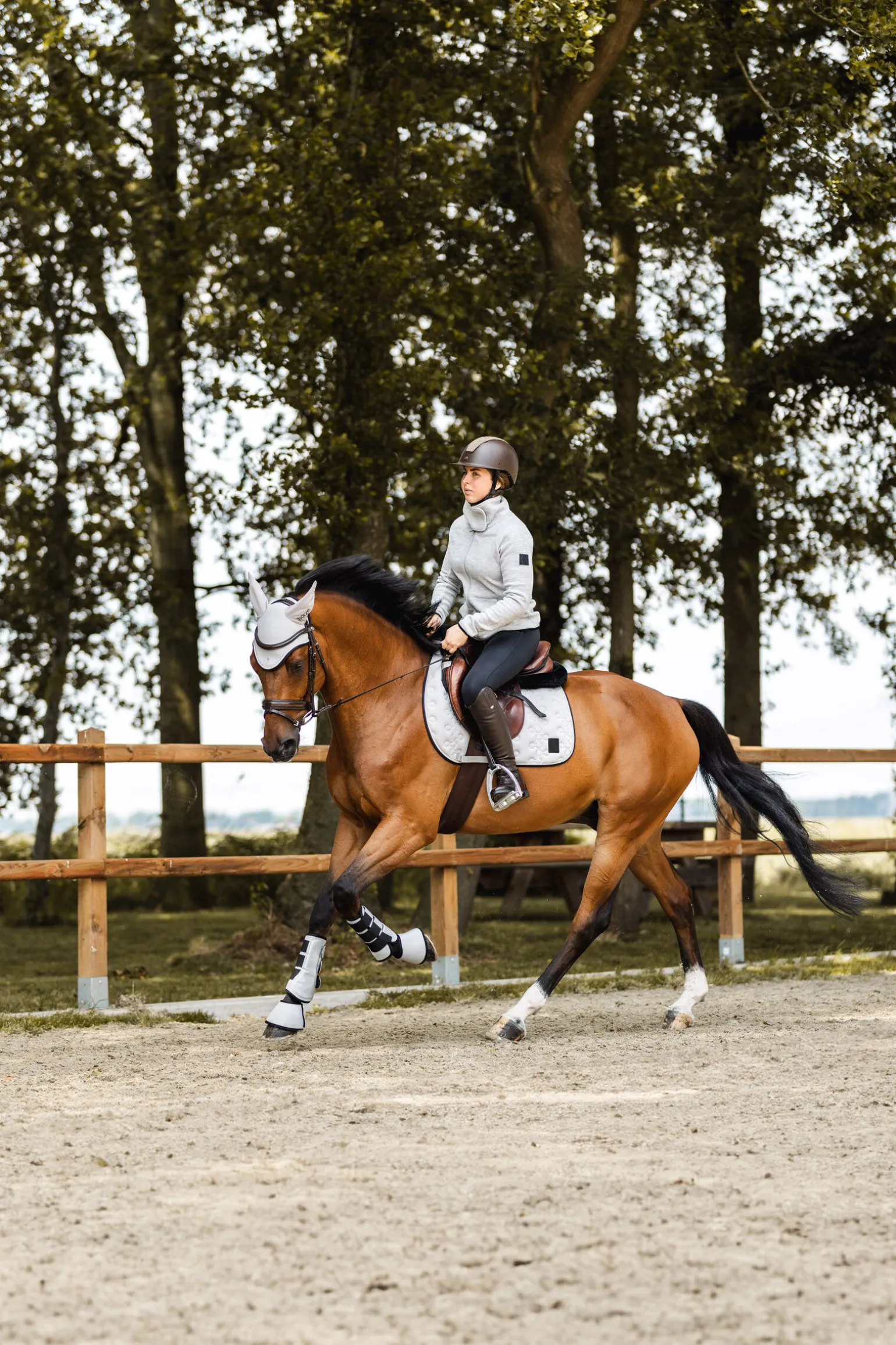 Horze Smoky Twilight sprangsjabrak