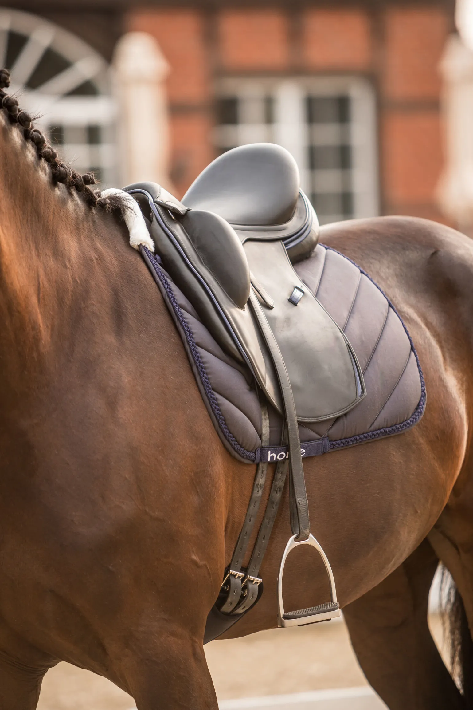 Horze Victoria dressursjabrak