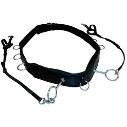 Karlslund Longeringsgjord