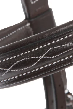 Kavalkade Akila hodelag