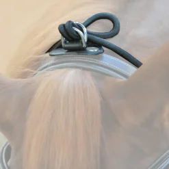 Kavalkade Bungie, elastisk