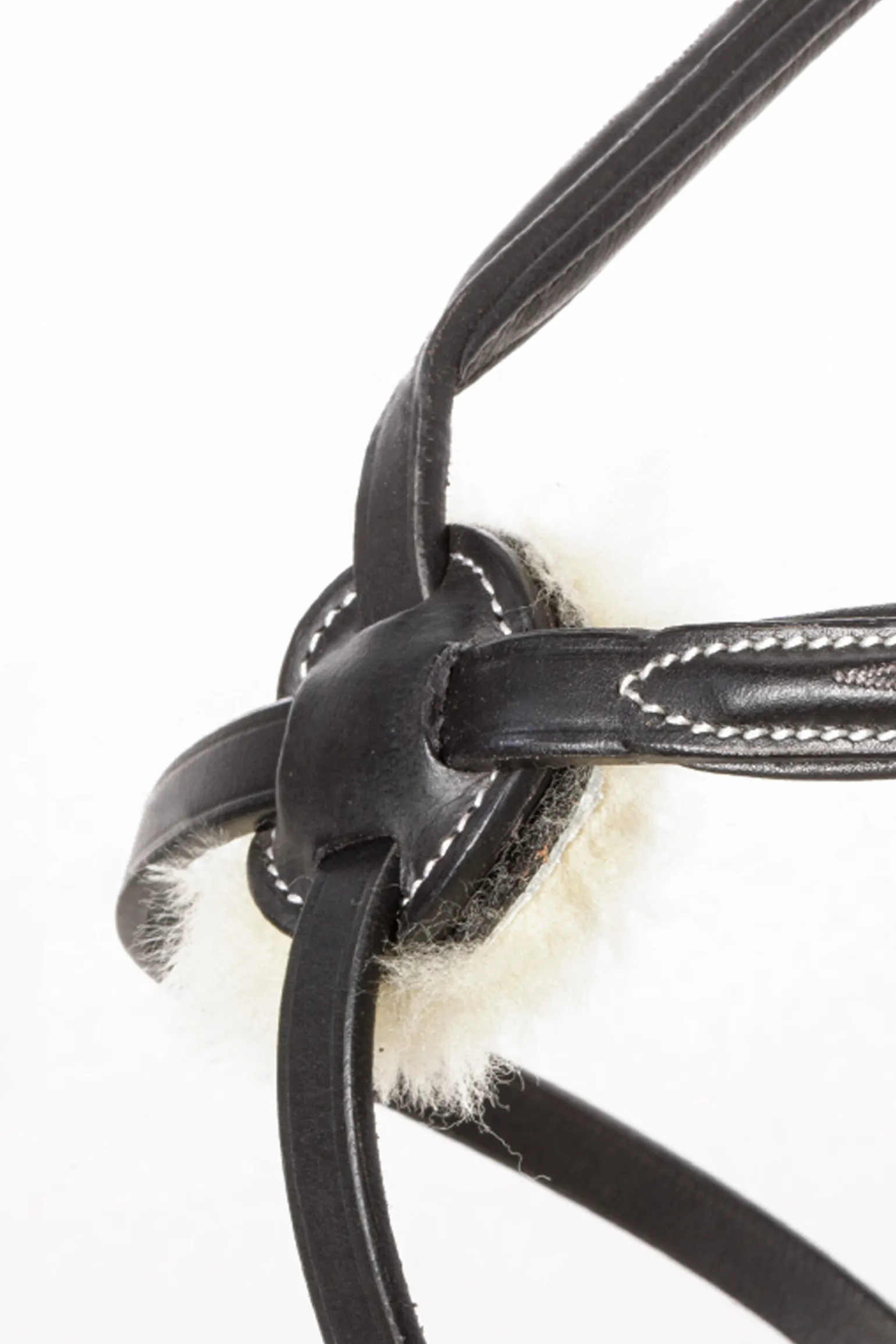 Kavalkade Diandro Hodelag med kryssnesereim