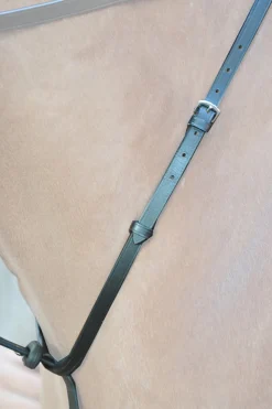 Kavalkade Ecoline martingal med stoppere