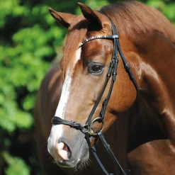 Kavalkade Fiala Bridle