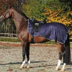 Kavalkade fluedekken til trening