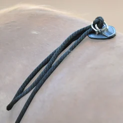 Kavalkade HO longesystem