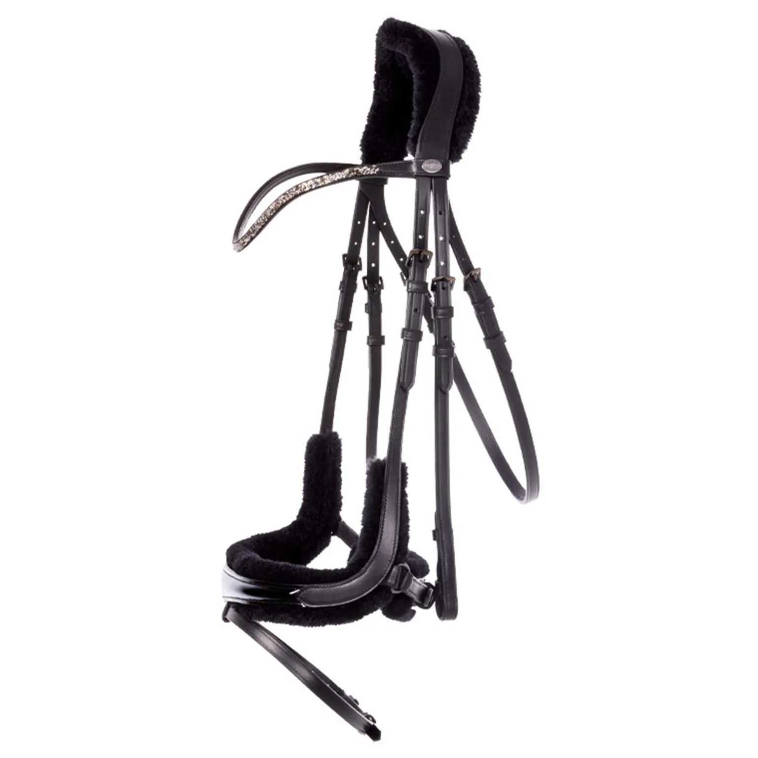 Kavalkade Ivella KavalSh4 hodelag