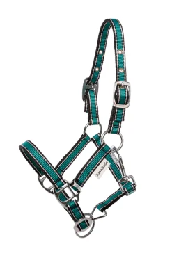 Kavalkade Shorty Grime for Shetlandsponnier