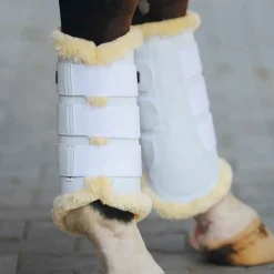 Kavalkade stryksokker til stevne