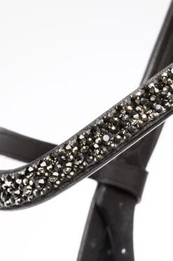 Kavalkade Victoria Hodelag