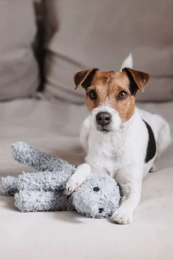 Kentucky Dogwear Elephant hundeleke