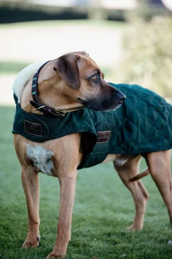 Kentucky Dogwear hundedekken