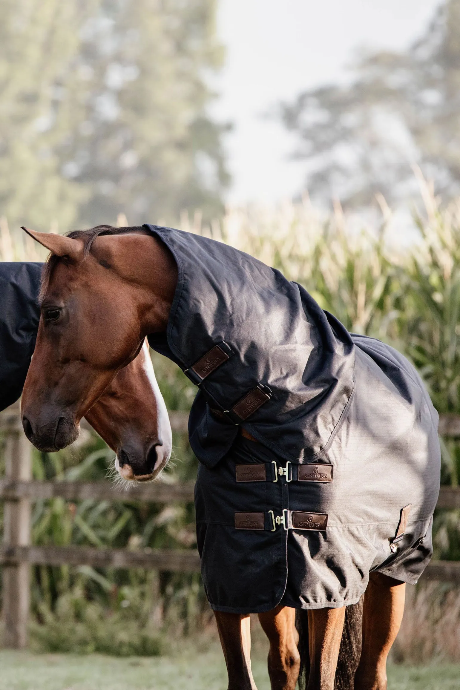 Kentucky Horsewear All Weather Waterproof Classic utedekken, 0 gram