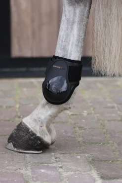 Kentucky Horsewear bakbeinsbelegg til unghest