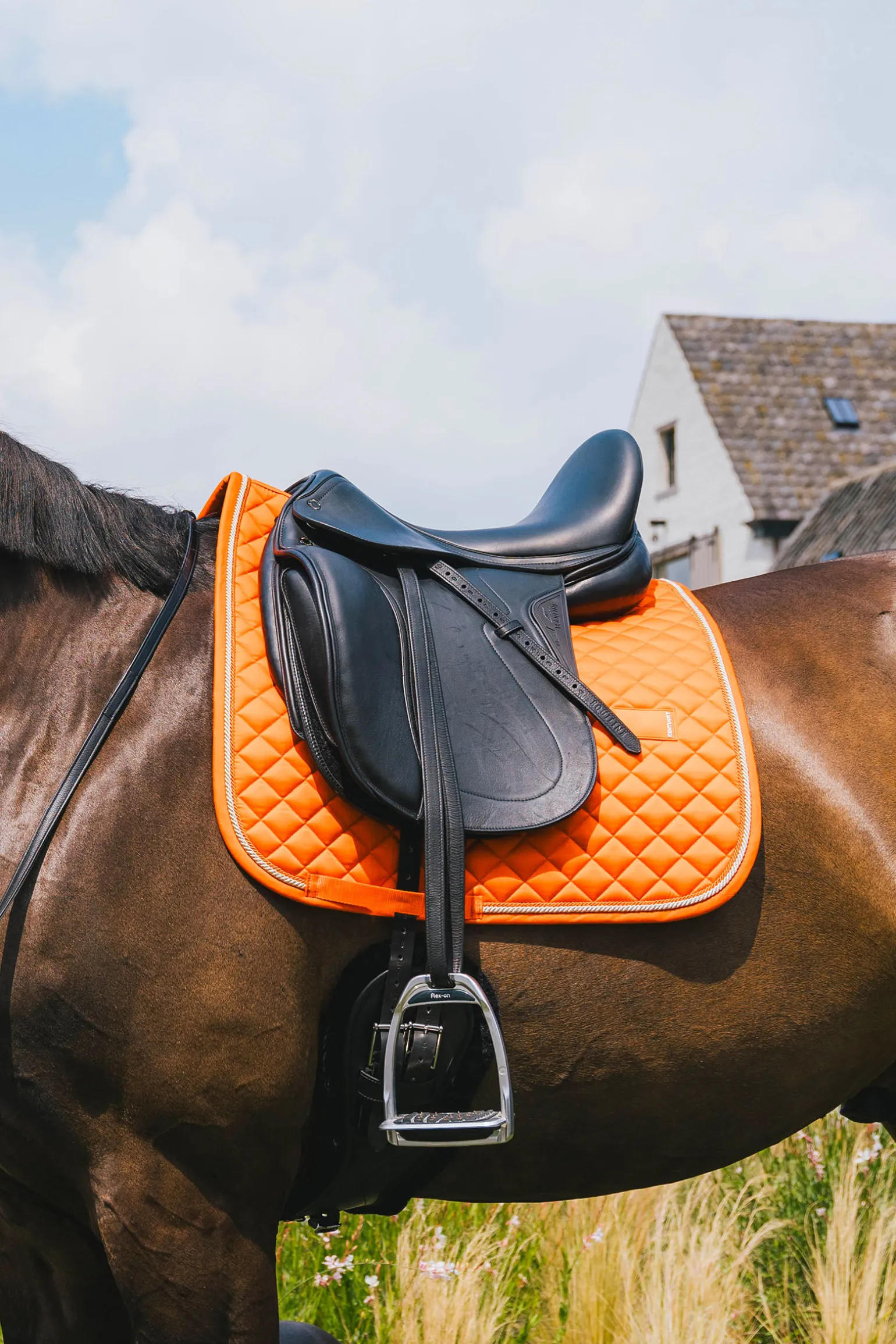 Kentucky Horsewear dressursjabrak Diamond Rope