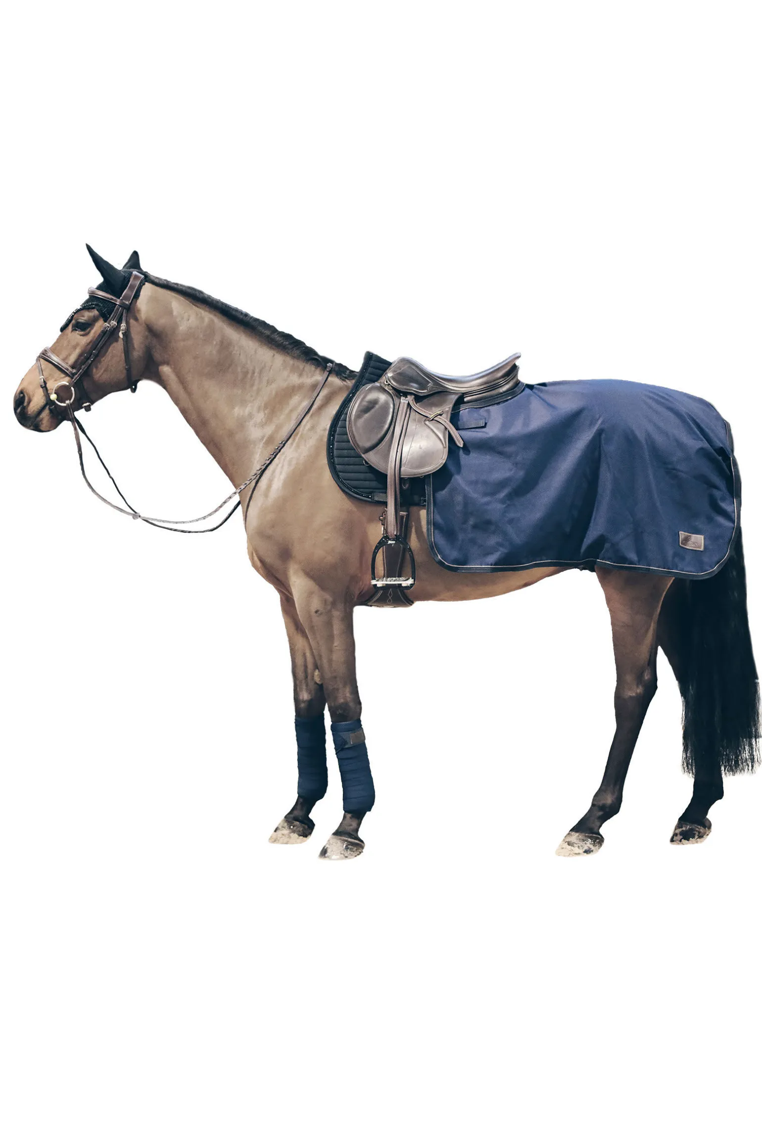 Kentucky Horsewear lendedekken, allværsdekken, 160 gram