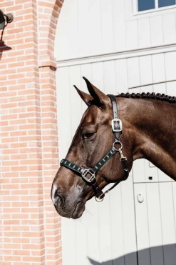 Kentucky Horsewear Pearls grime