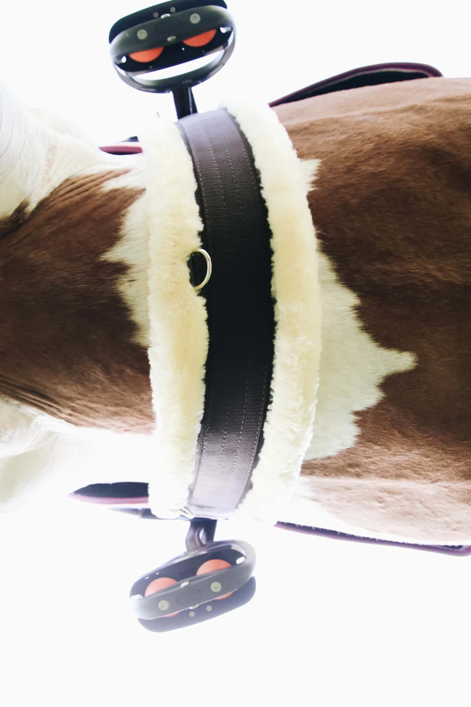 Kentucky Horsewear saueskinn gjord