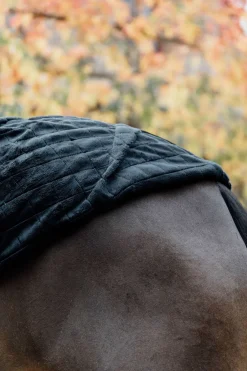 Kentucky Horsewear stable rug 0g