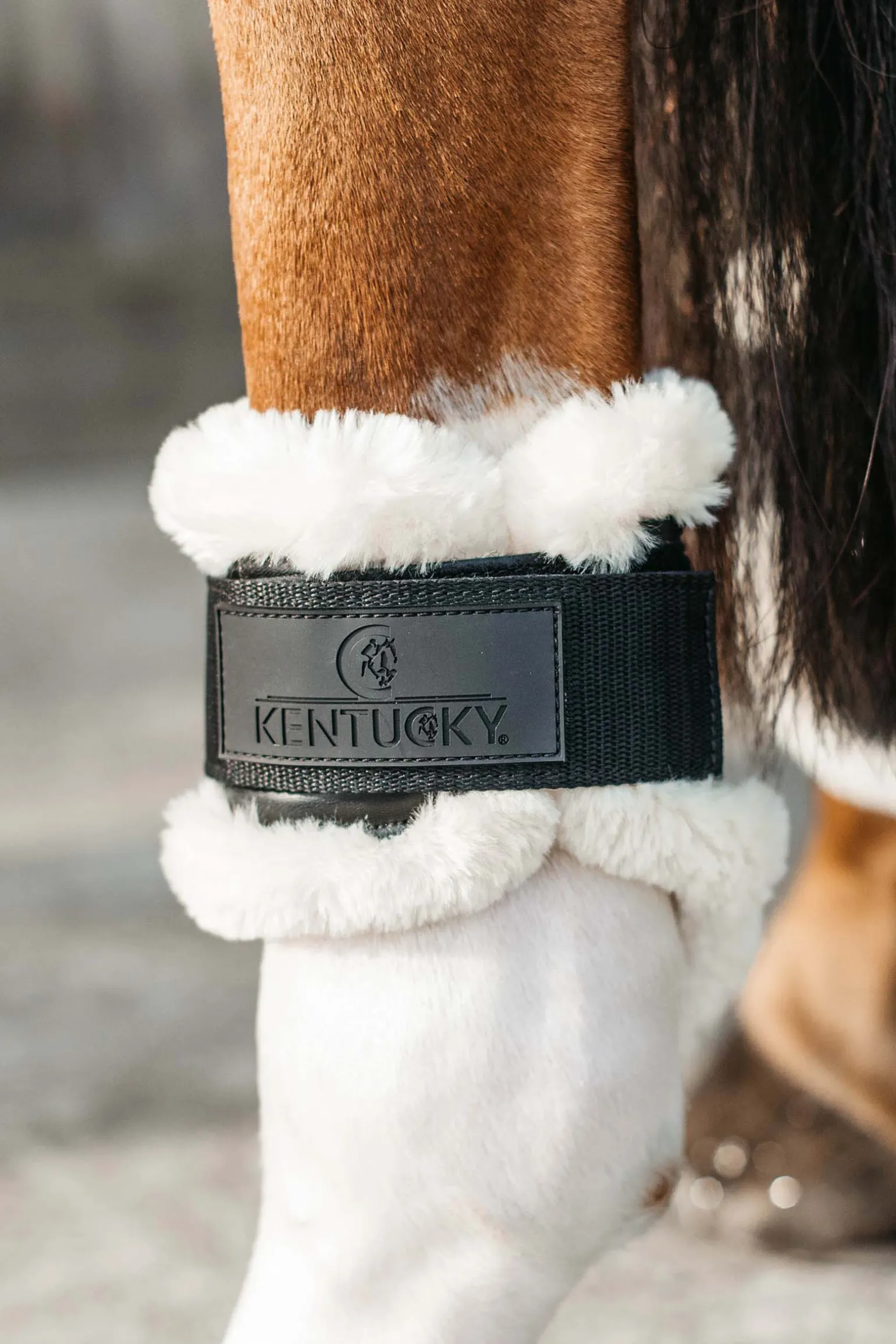 Kentucky Horsewear Vegan bakbeinsbelegg til unghest med saueskinn