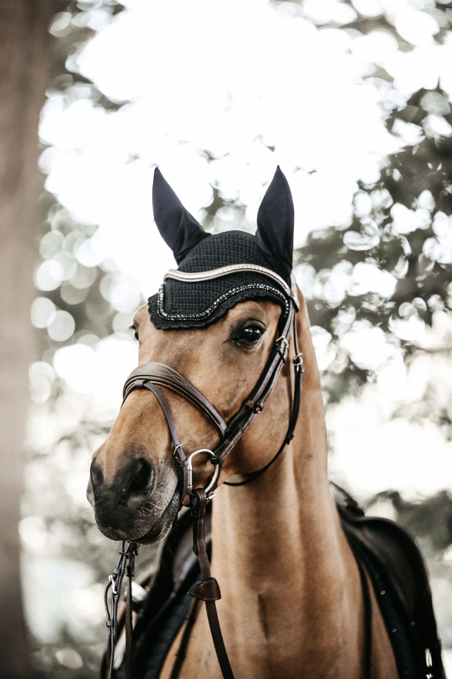 Kentucky Horsewear Wellington med steiner og perler
