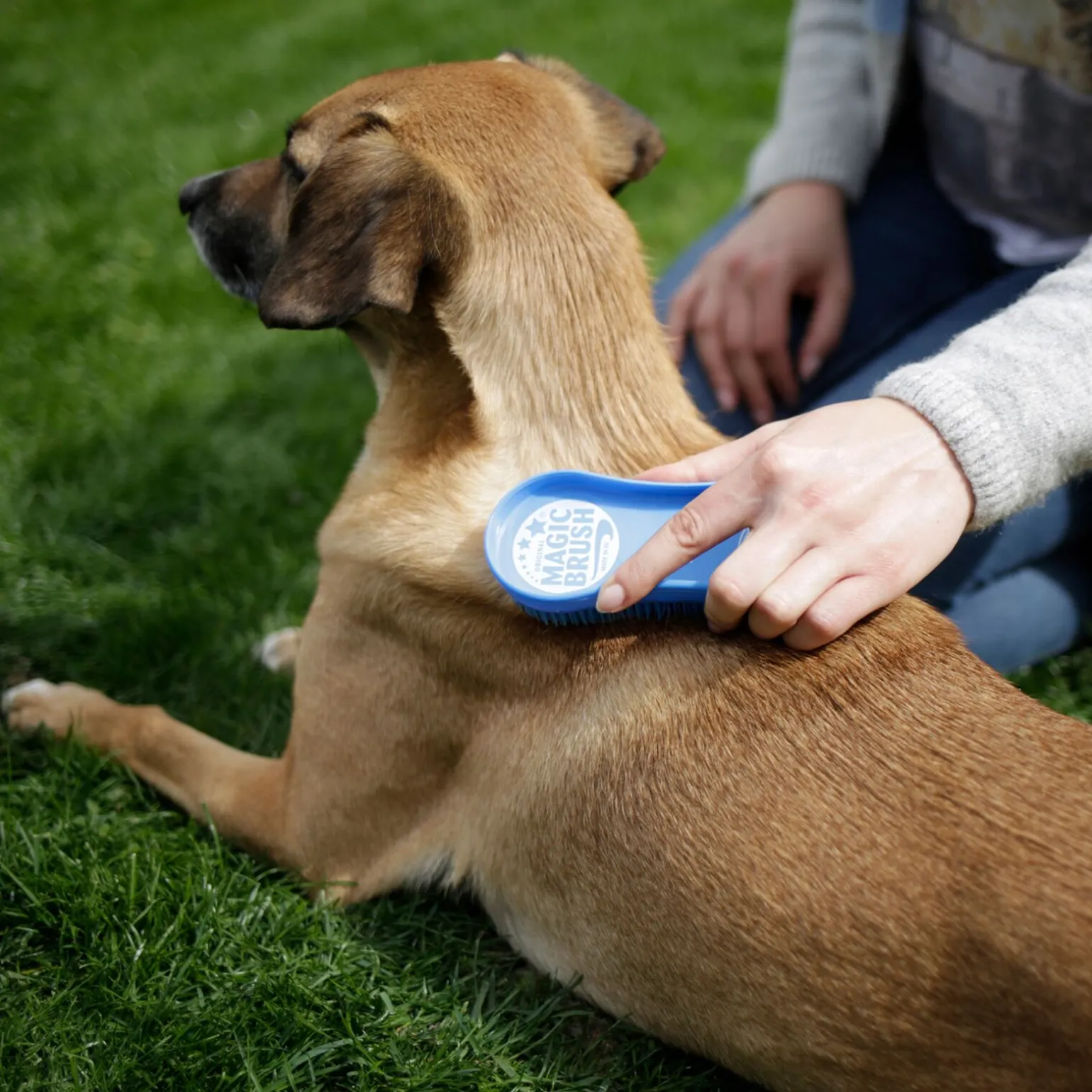 Kerbl Magic Brush, hund