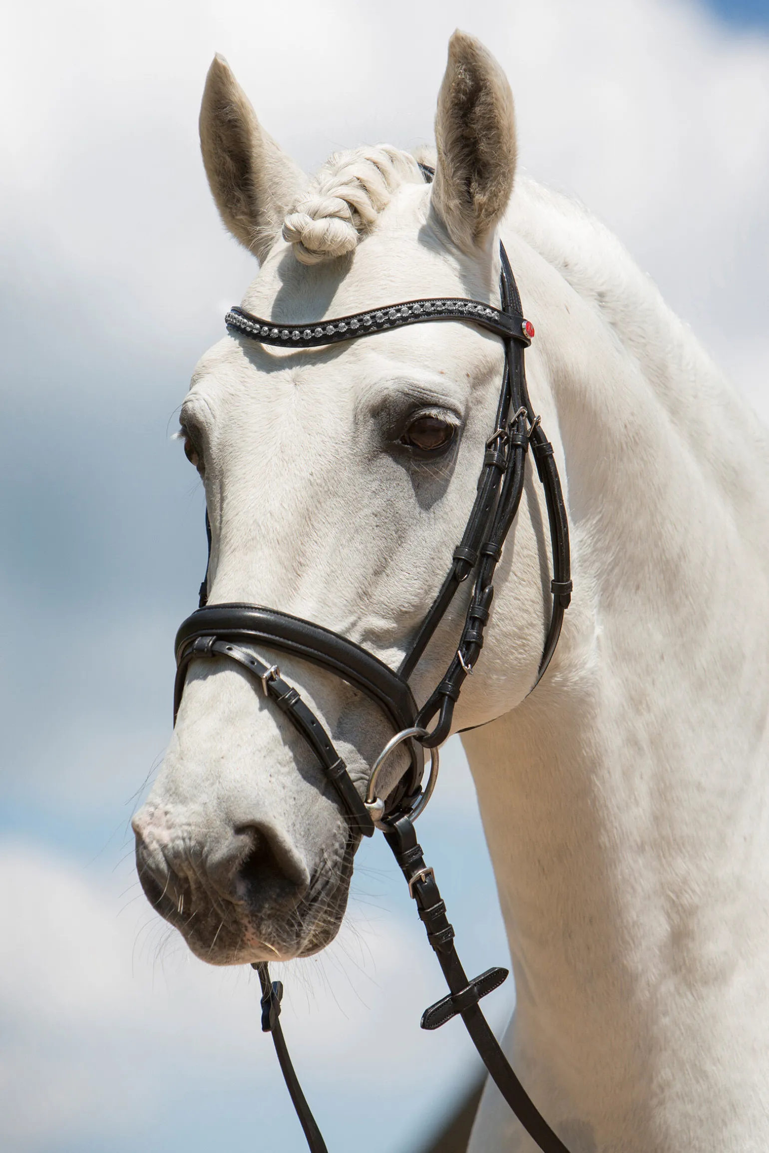 Kieffer Ultrasoft® Fashion hodelag