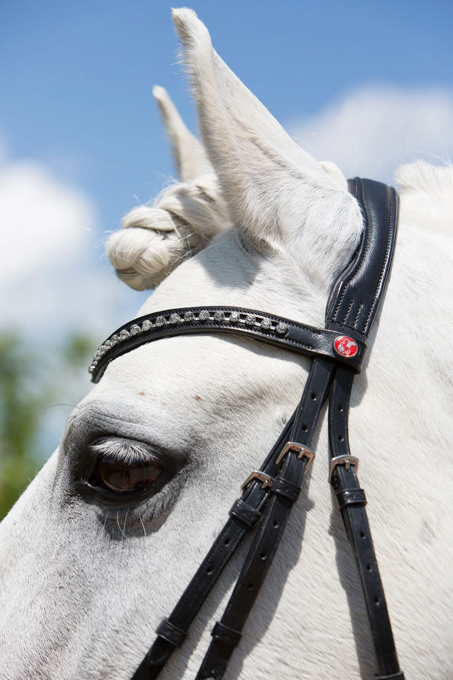 Kieffer Ultrasoft® Fashion hodelag