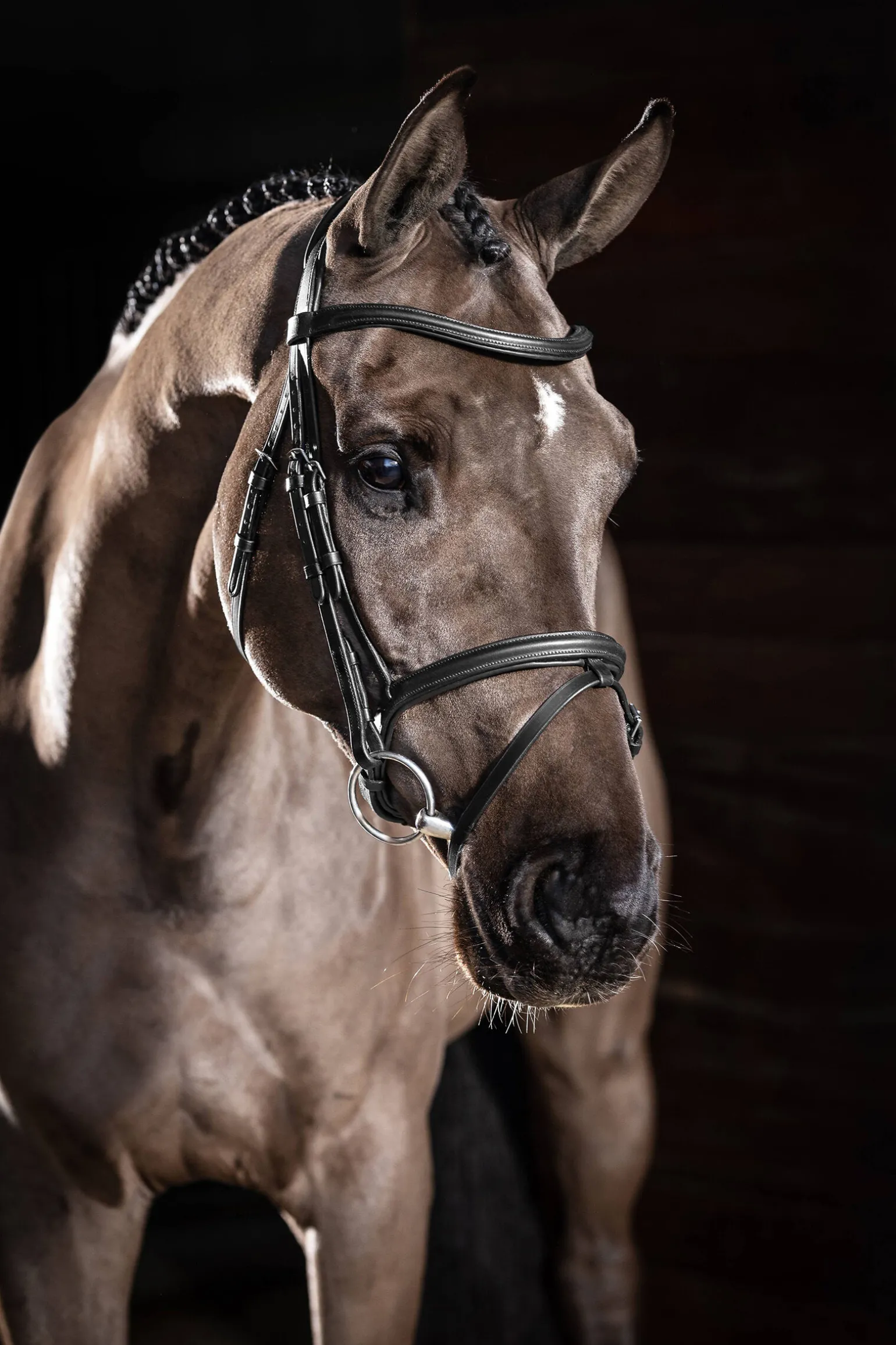 LeMieux Arika Flash hodelag