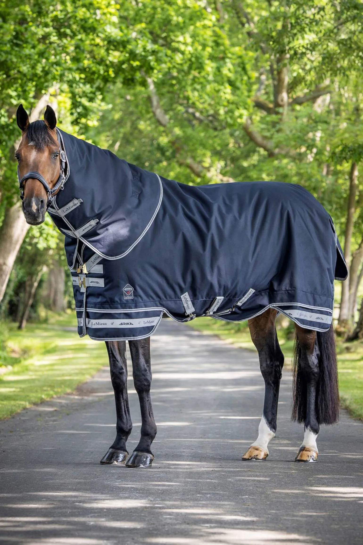 LeMieux Arika Storm-Tek Lightweight Turnout Rug, 100g