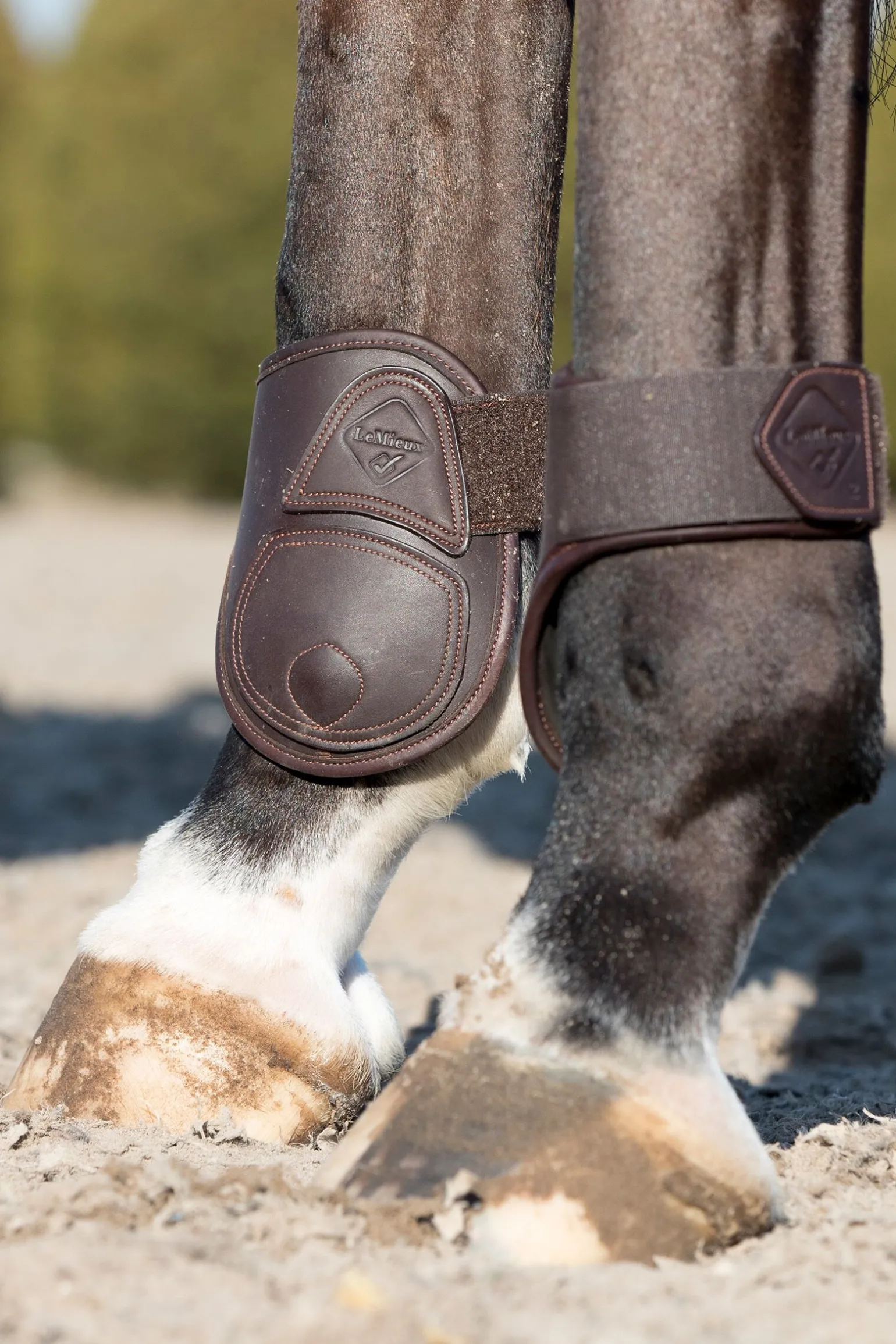 LeMieux Capella bakbeinsbelegg i lær