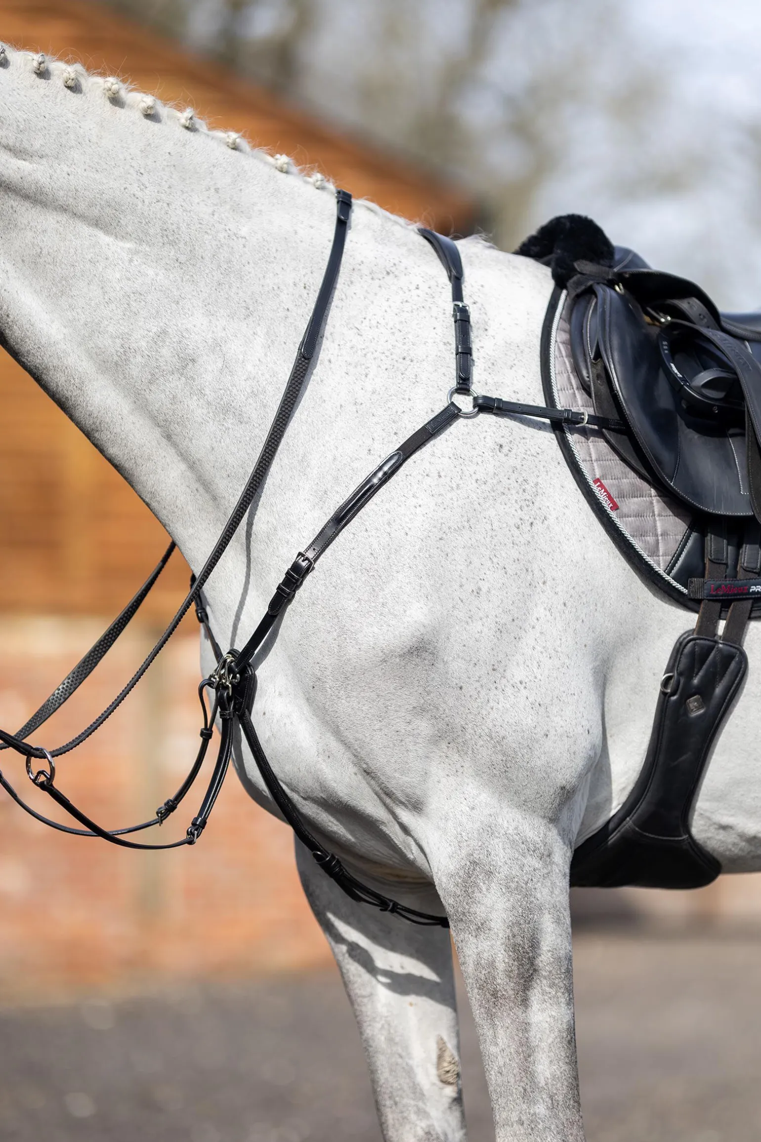 LeMieux Fortøy med avtakbar Martingal