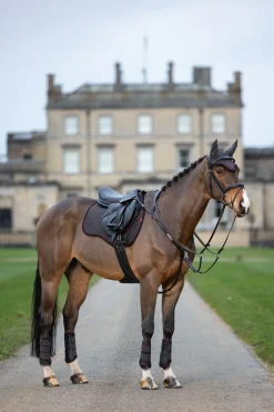 LeMieux Grafter stryksokker
