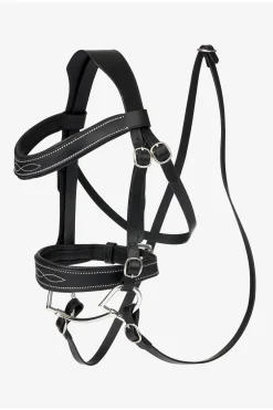 Lemieux Hobby Horse Klassisk Hodelag